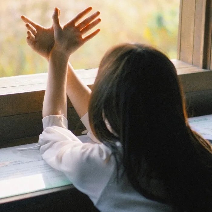 白莲花度假村第一季