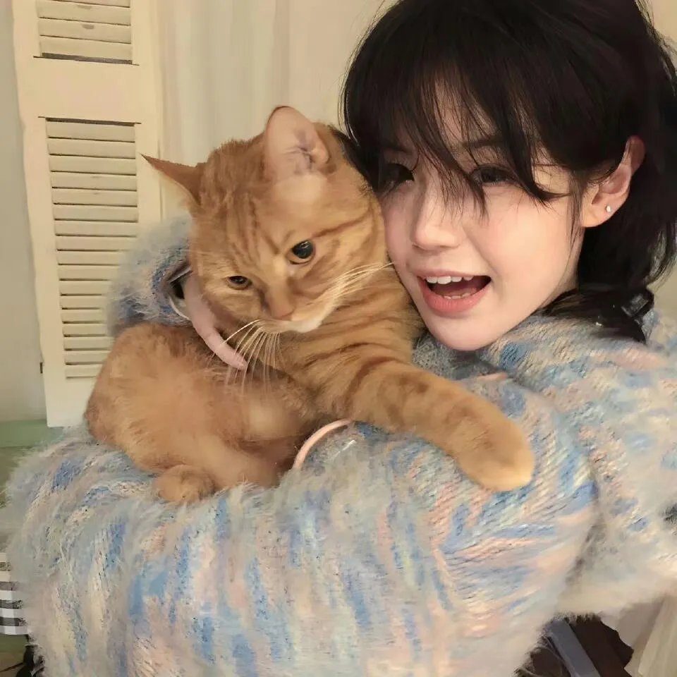 25时，赤坂见第二季